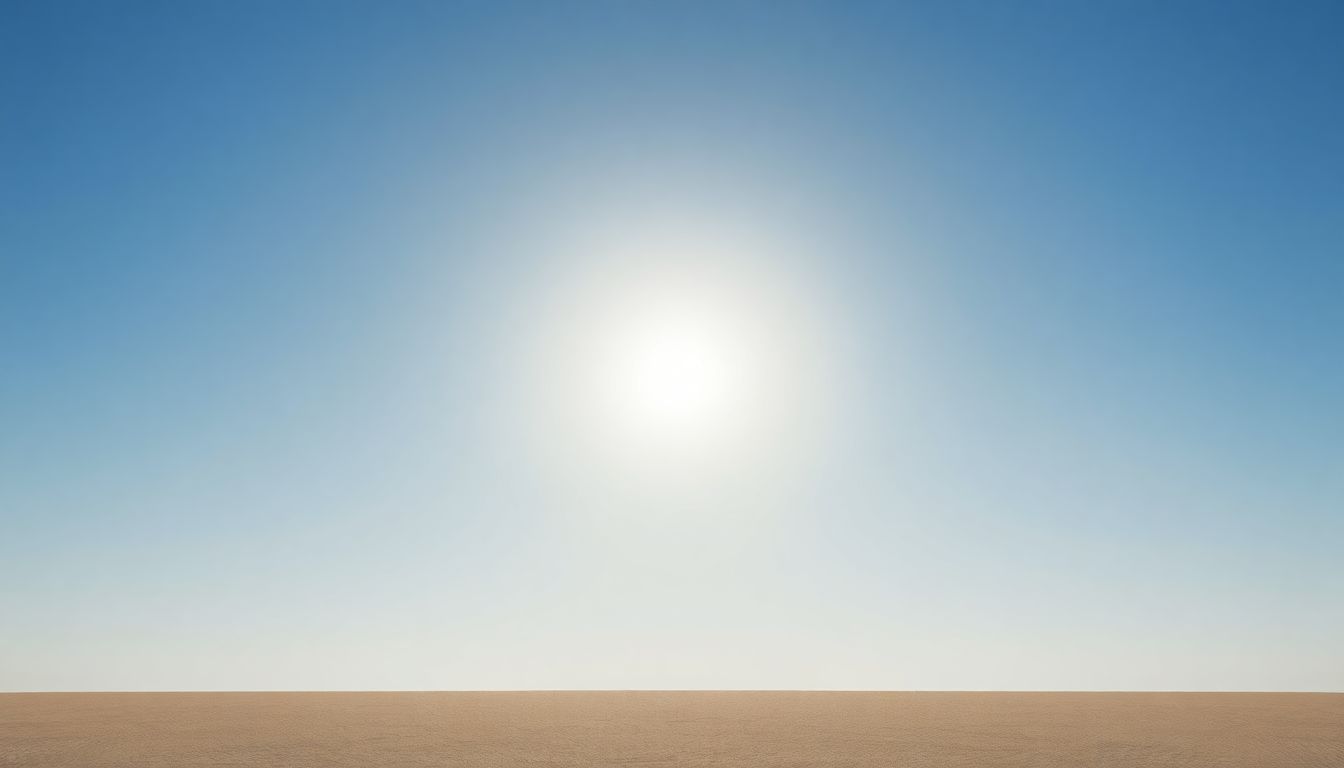 noon